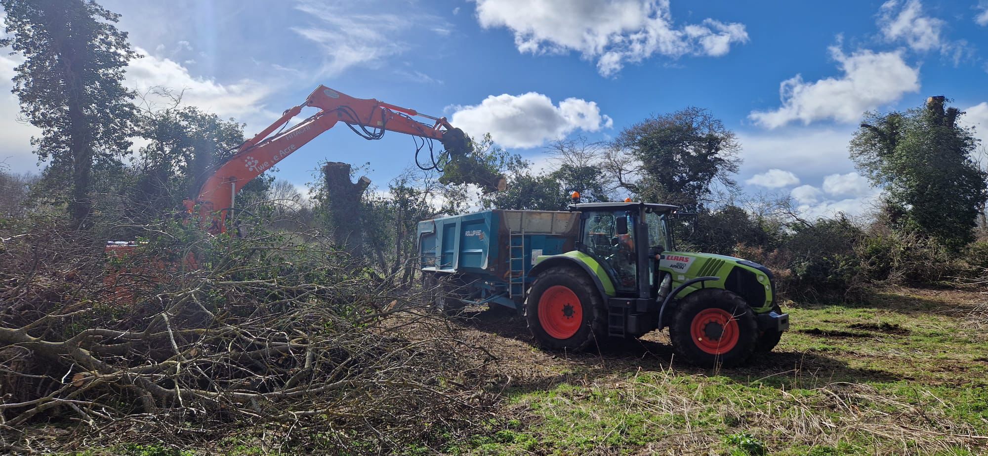 Site preparation and debris removal showing professional clearance work
