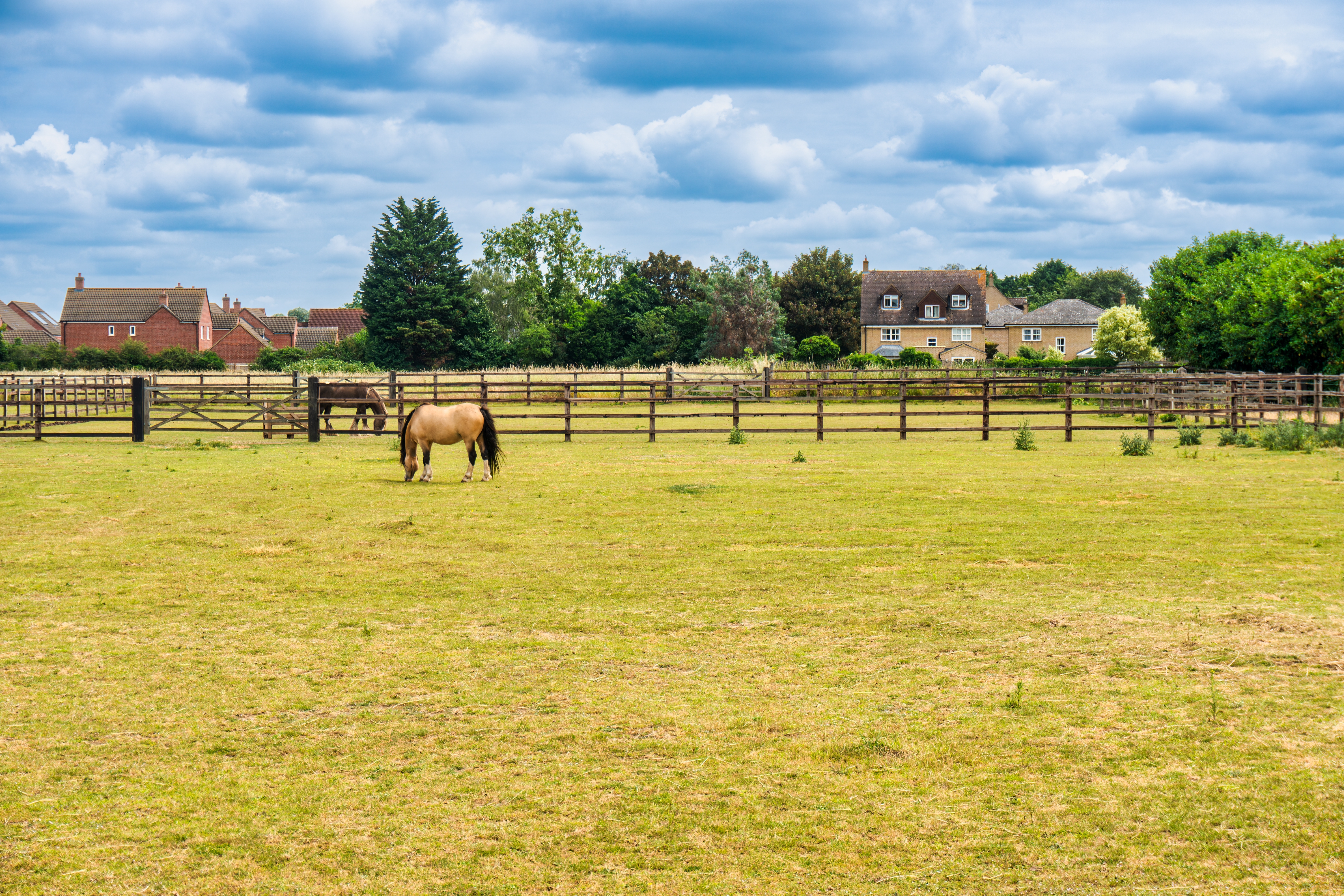 Horse fencing and equestrian fencing installation