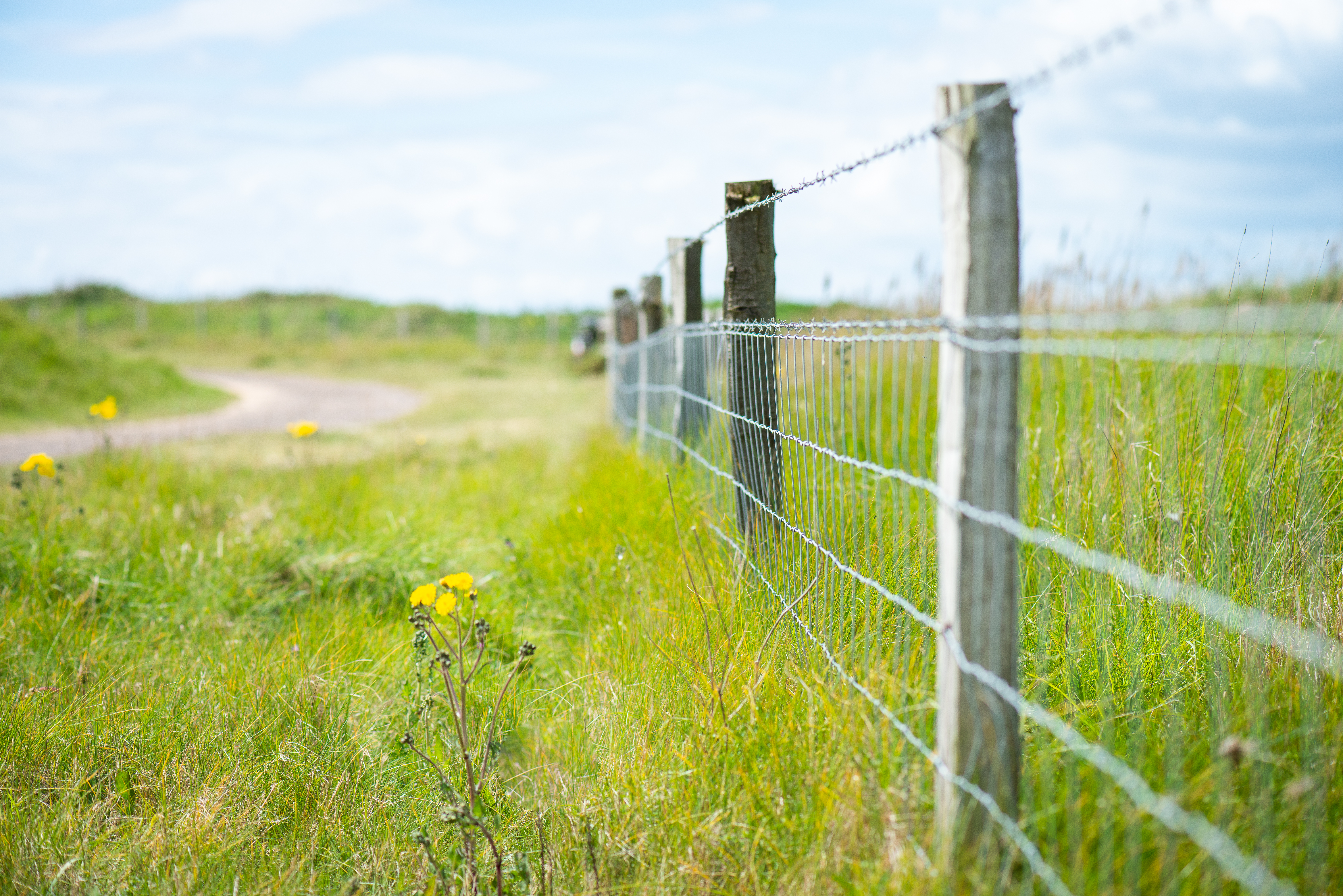 Cattle fencing and stock fencing installation
