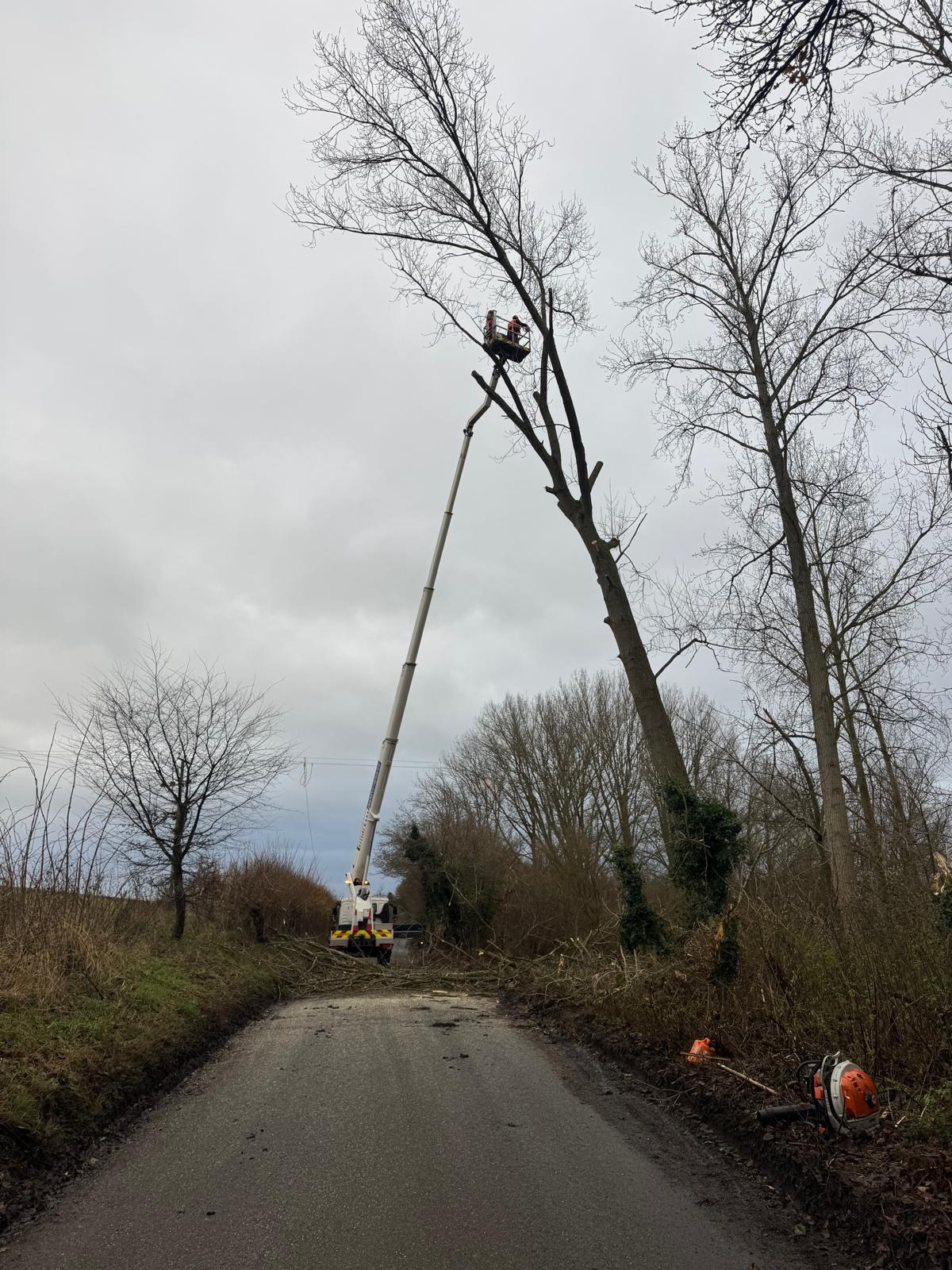 High access tree surgery equipment in action