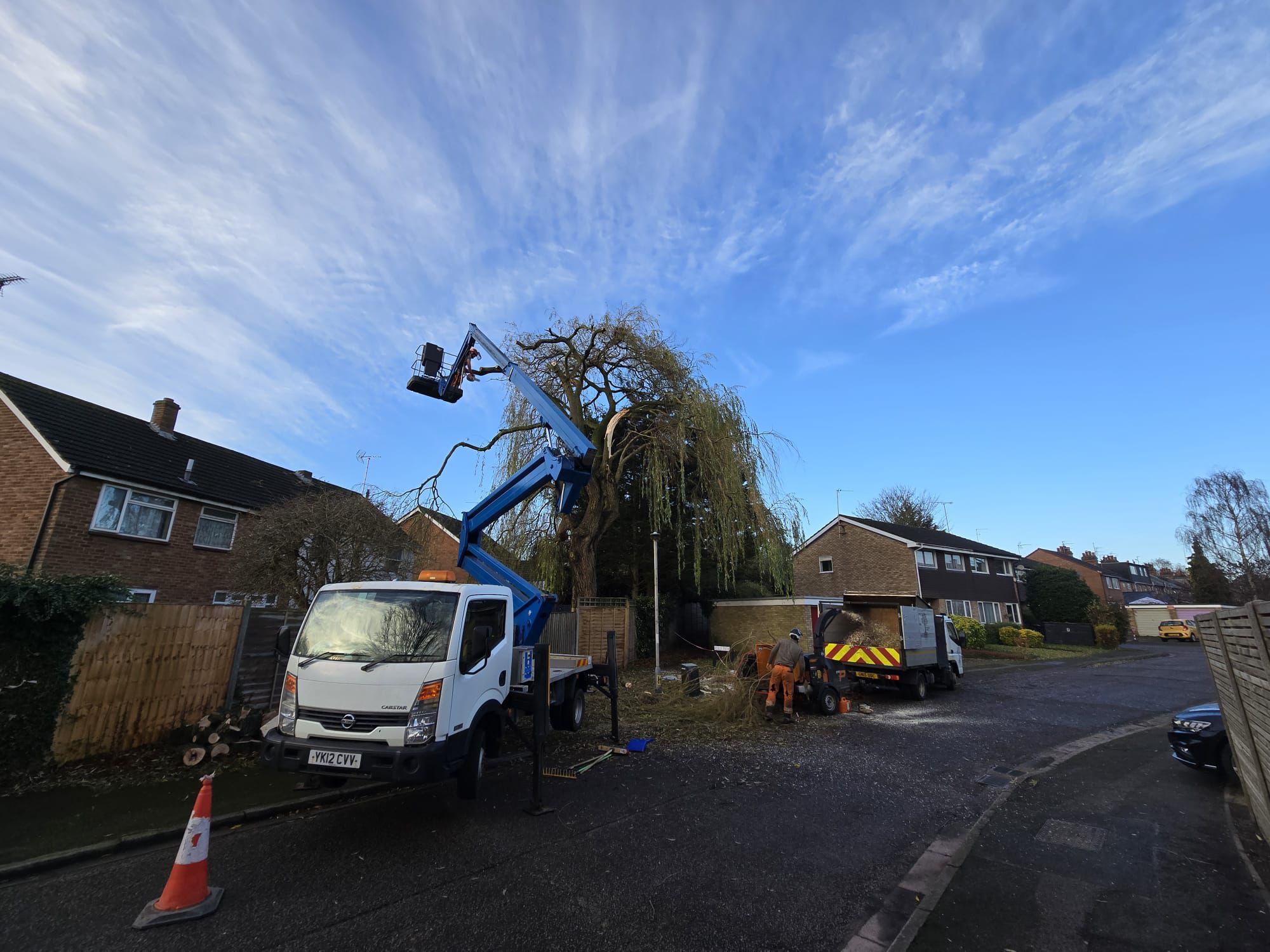 Tree Pruning Guide